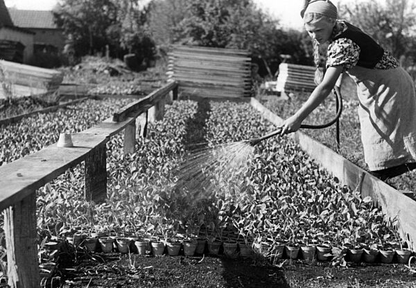 Landjahrmädel beim Gießen, 1940