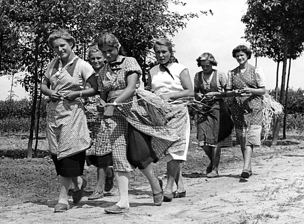 Landjahrmädel bei der Arbeit in einer Baumschule, 1939