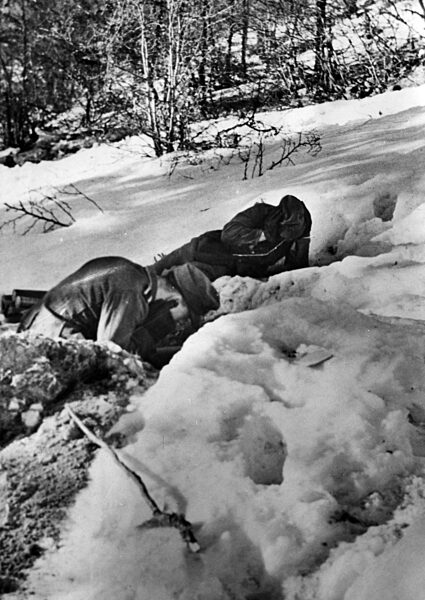 German soldiers in the Vosges, 1945