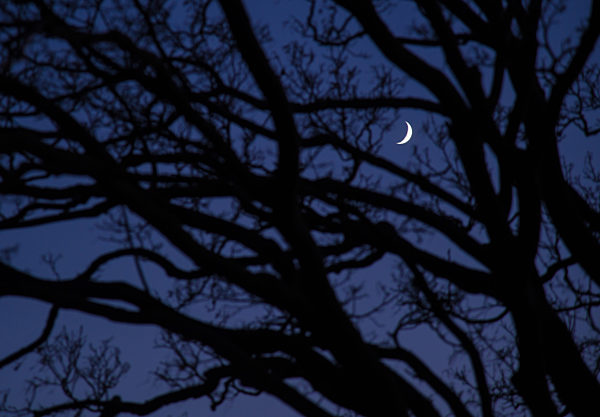 Mond über der Insel Rügen