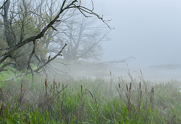 Herbstmorgen im Osten von Brandenburg