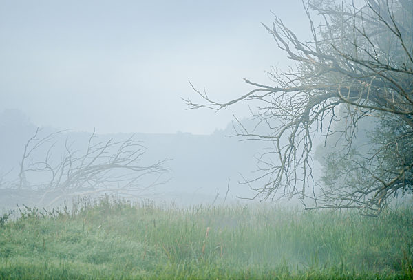 Herbstmorgen im Osten von Brandenburg