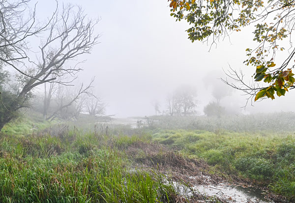 Herbstmorgen im Osten von Brandenburg