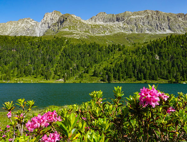 Nationalpark Hohe Tauern
