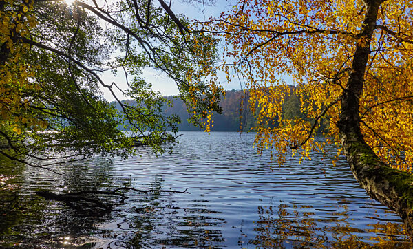 Naturpark Schlaubetal