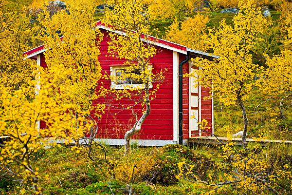 Norwegen - Herbst in Lappland