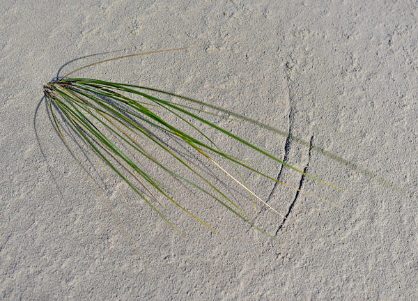 Sonneninsel Bornholm