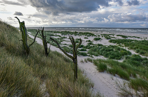 Sonneninsel Bornholm