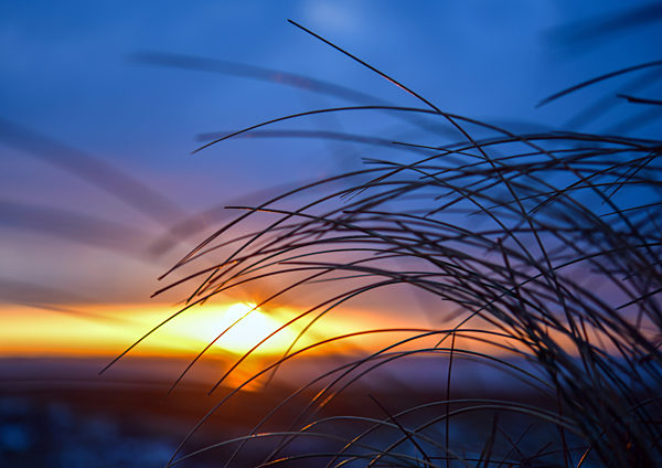 Westküste Dänemark