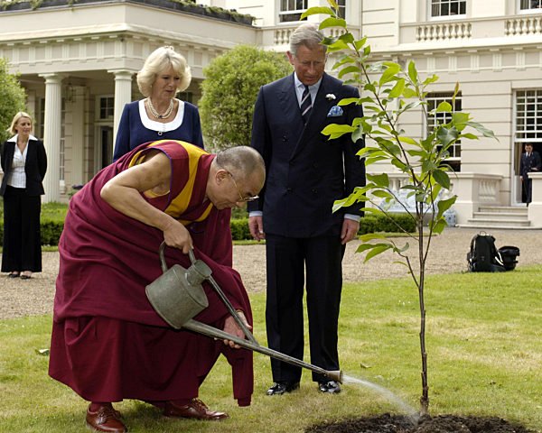Dalai Lama pflanzt im Garten von Clarence House einen Baum