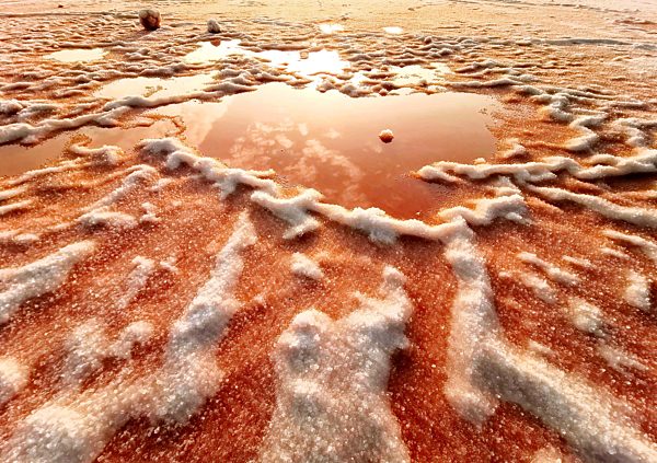 The nitrate flowers blossomed in the salt lake in Yuncheng,Shanxi,China on 29th December, 2019