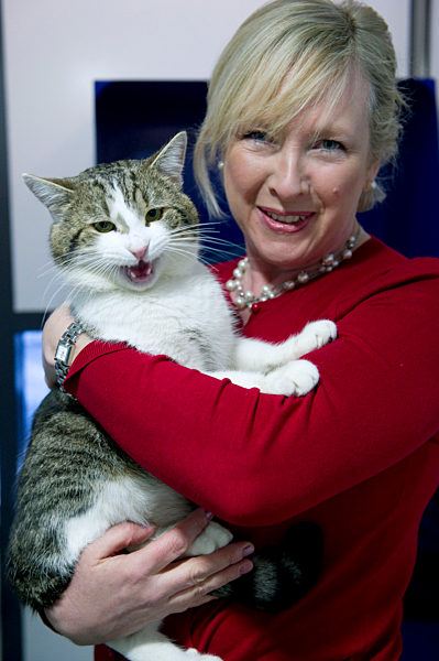 Larry the Downing Street Cat