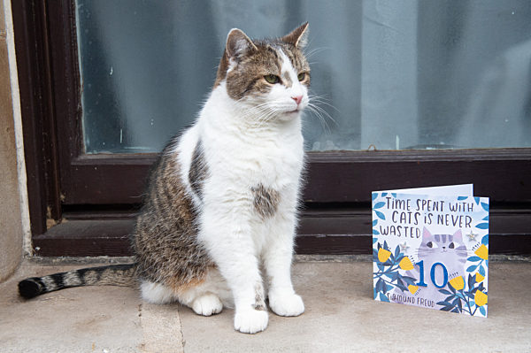 Larry The Cat 10th Anniversary - Monday 15 February  -  Downing Street, London