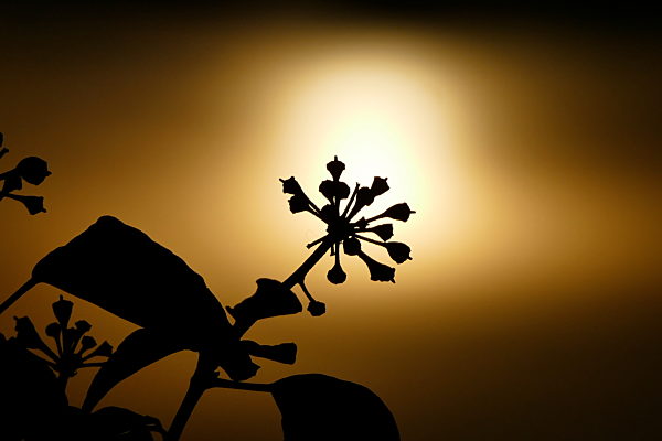 Seasonal weather Oxfordshire.