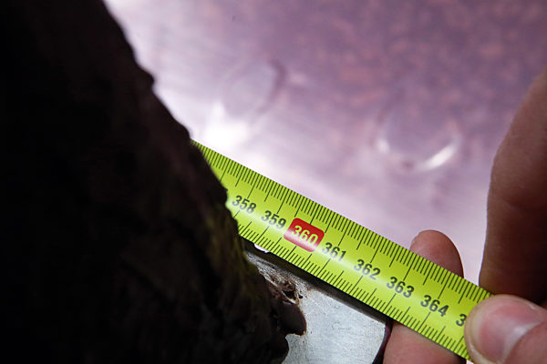 World's largest wafer bar made in Kharkiv