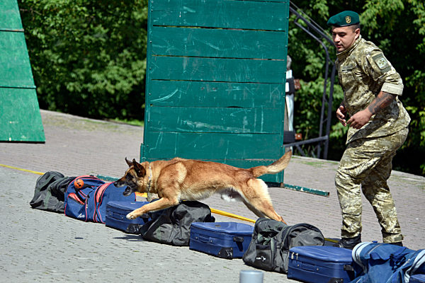 Military dog parade in Lviv