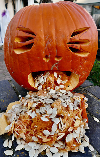 Halloween Celebrations