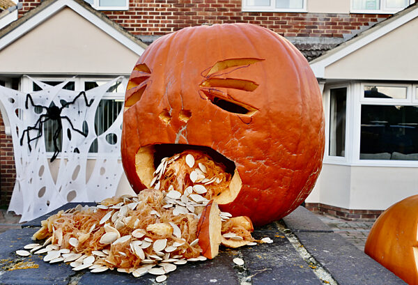 Halloween Celebrations