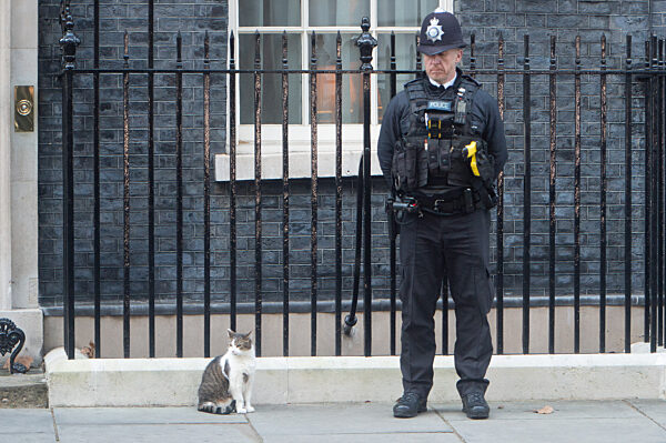Prime Minister Boris Johnson Departs To Deliver Statement on Sue Gray Report - Monday 31 January 2022 - Downing Street, London