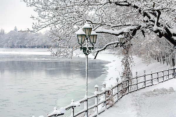 Snowfall in Uzhhorod