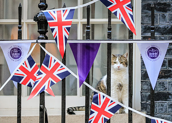 Larry the Cat celebrates the Queen's Jubilee in Downing Street, London, UK