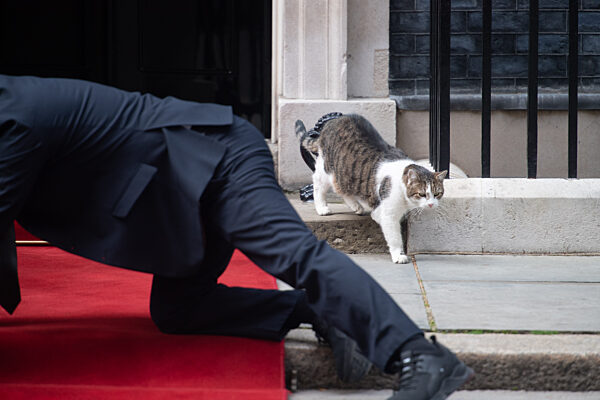 Larry The Cat - Sunday 18 September - Downing Street, London