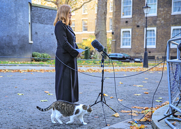 Cabinet Meeting in Downing Street, London, UK