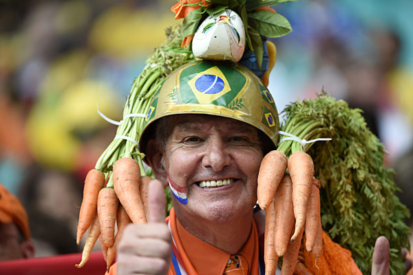 WM 2014 Spanien - Niederlande 1:5