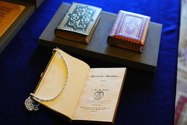 Frank-Walter Steinmeier's state visit to the UK