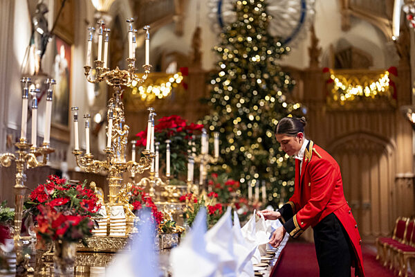 Frank-Walter Steinmeier's state visit to the UK