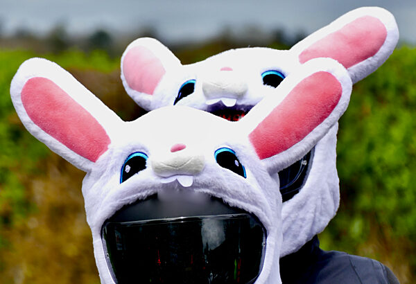 The Berkshire Egg Run