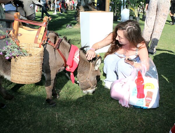 Amber Martinez attends Sonic Desert during Coachella, California, USA, 11 April 2026.