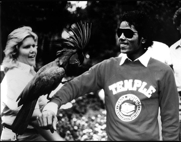 Visit to Discovery Island