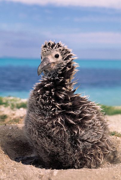 Obama Creates World's Largest Protected Place