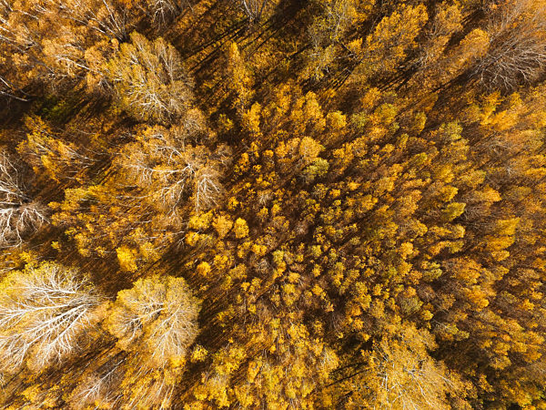 #CHINA-INNER MONGOLIA-HEXIGTEN QI-GRASSLAND(CN)