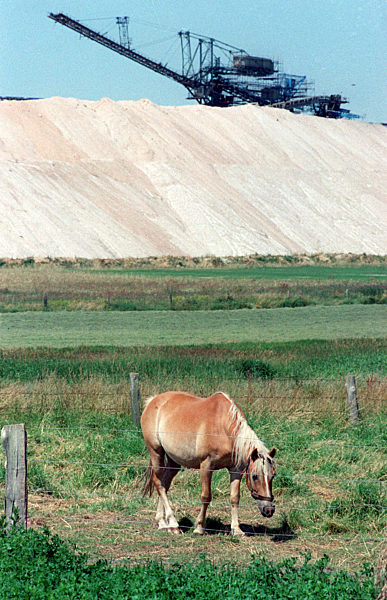 Zwar kündet der Abraumbagger der Zielitzer Kali AG vom wirtschaftlichen...