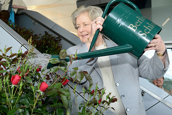Rosenzüchtung auf Namen "Berliner Schloss" getauft