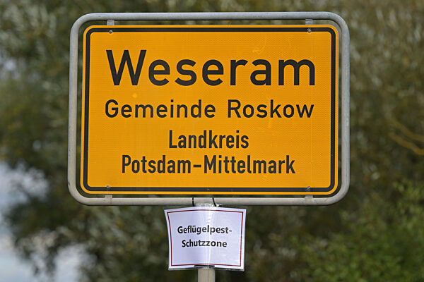 Geflügelpest breitet sich aus