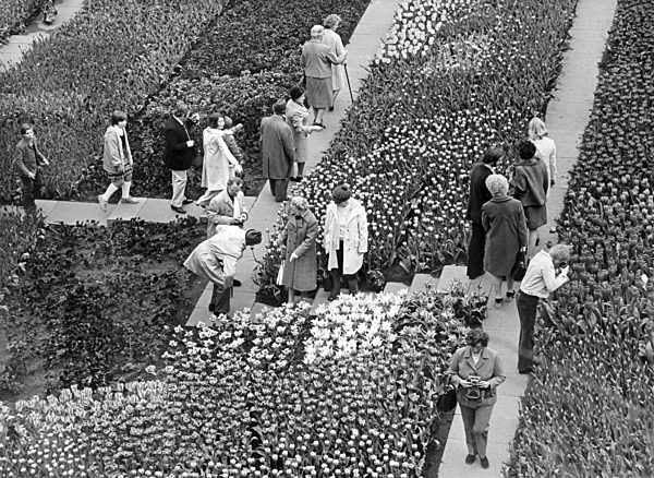 Internationale Gartenbauausstellung 1973 in Hamburg
