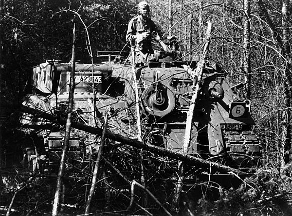 Forest fires in Lower Saxony