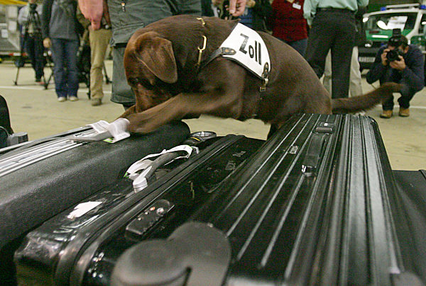 Der Artenschutz-Spürhund Uno schlägt am Dienstag (20.10...
