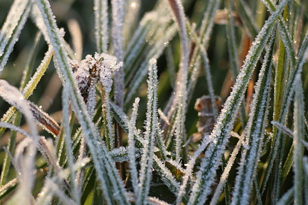 Herbstwetter im Harz