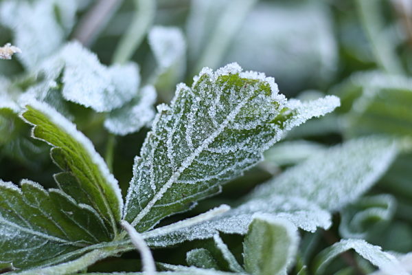 Herbstwetter im Harz