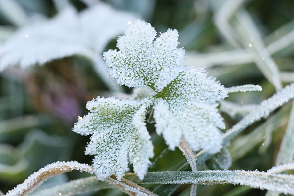 Herbstwetter im Harz