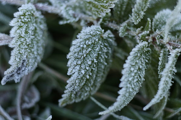 Herbstwetter im Harz