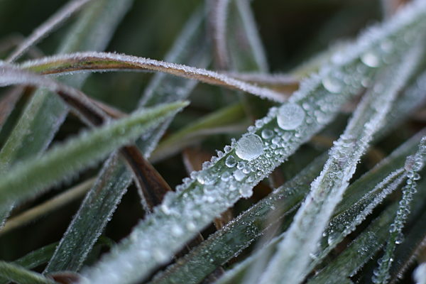 Herbstwetter im Harz