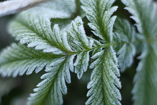 Herbstwetter im Harz