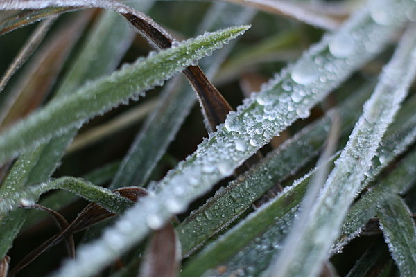 Herbstwetter im Harz