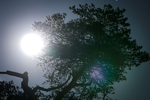NEWS Groesster Vollmond des Jahres