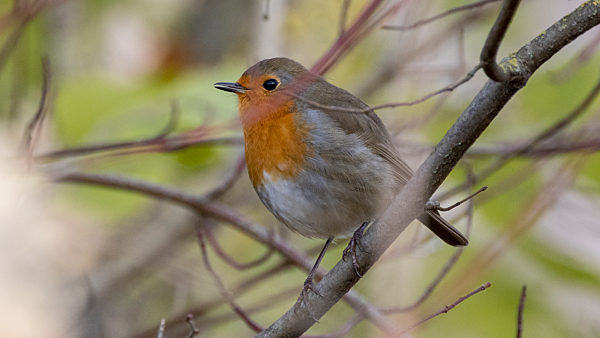 Unterwegs in- und um Wuerzburg